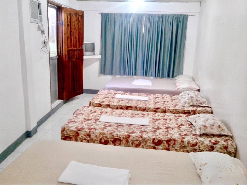 Camelia Travellers Inn  — Transient House Photo 2