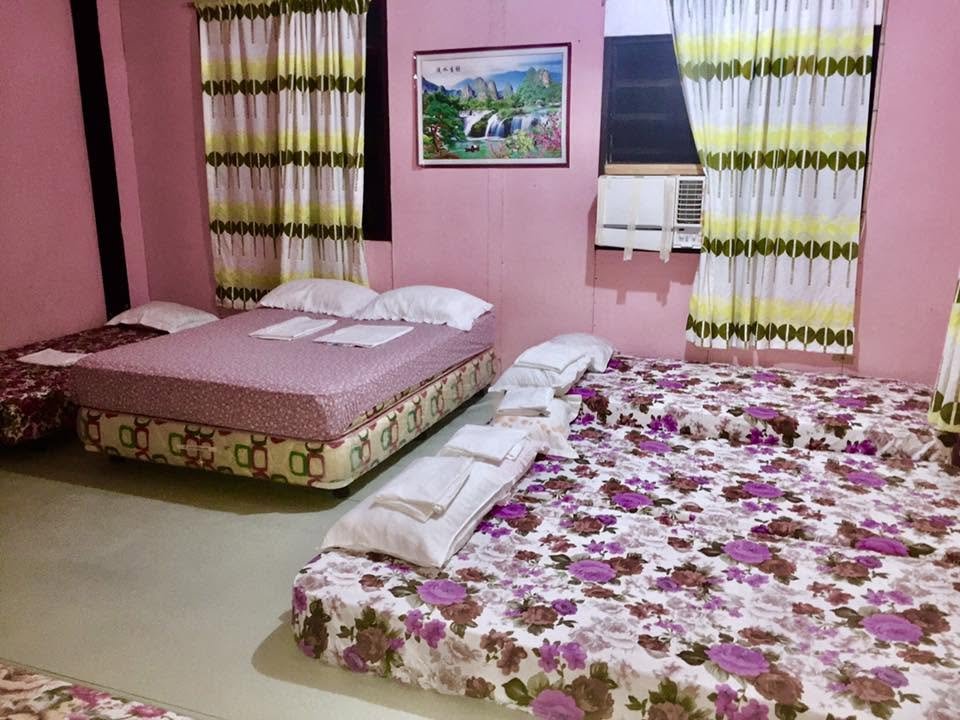 Camelia Travellers Inn  — Transient House Photo 1