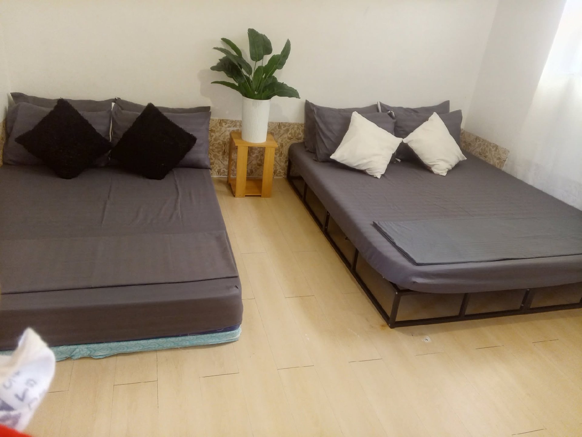 Seek n’ Plore - Beachside Accommodation — Transient House Photo 2