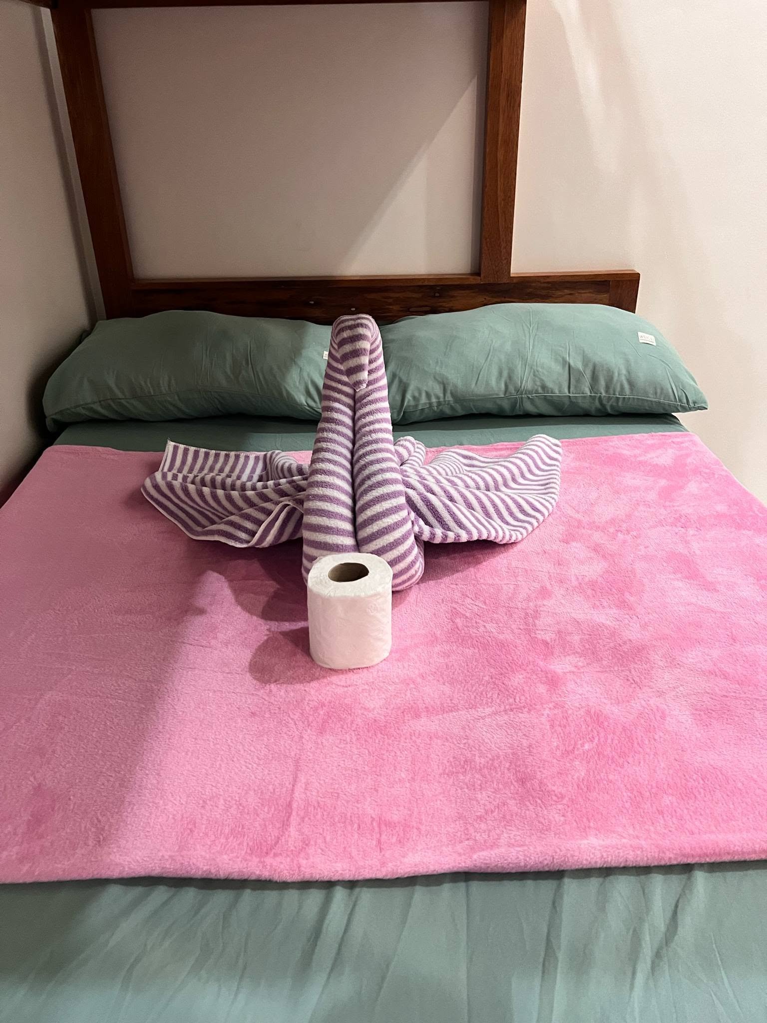 JoeNila's Inn  — Transient House Photo 3