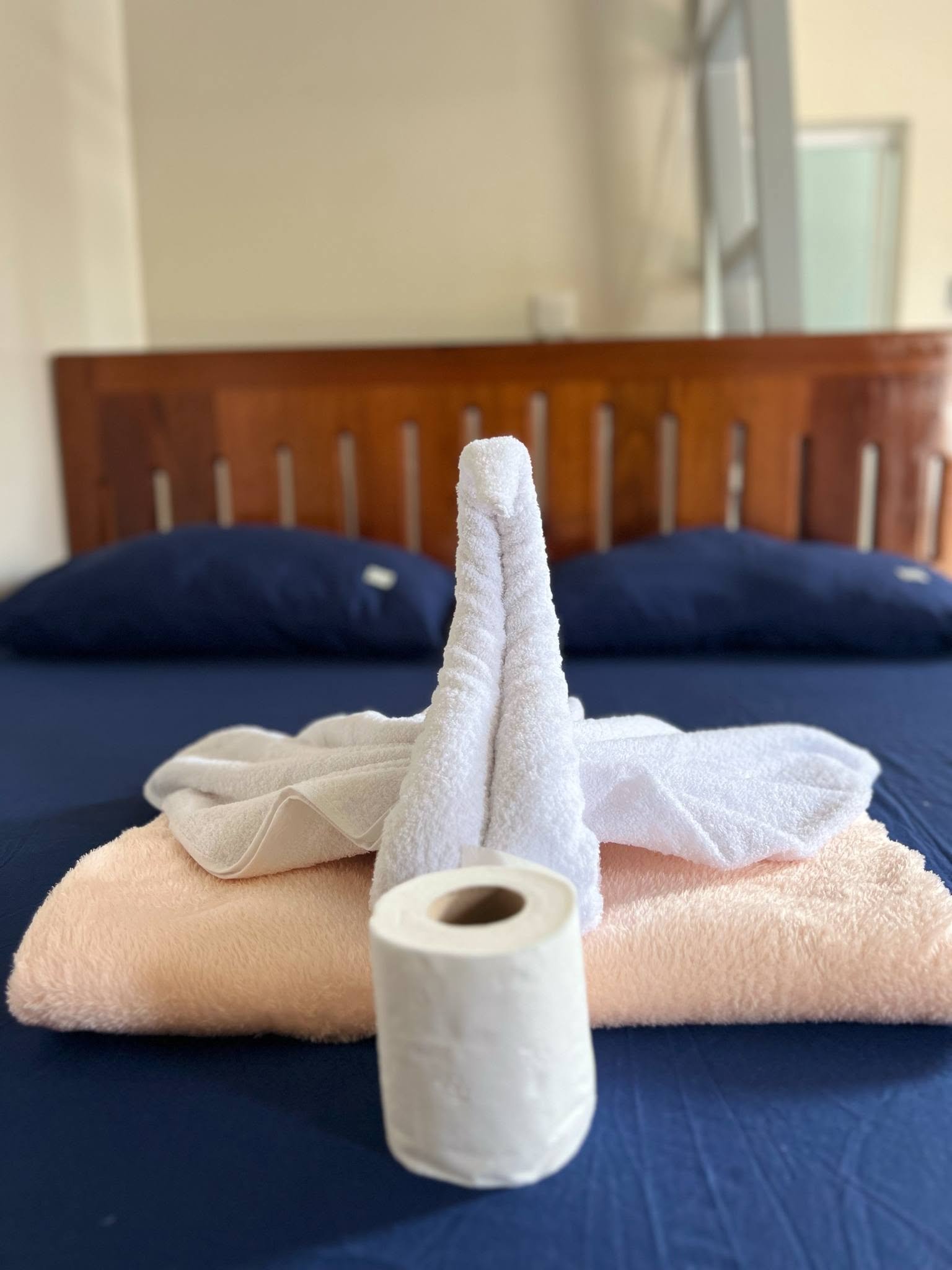 JoeNila's Inn  — Transient House Photo 4