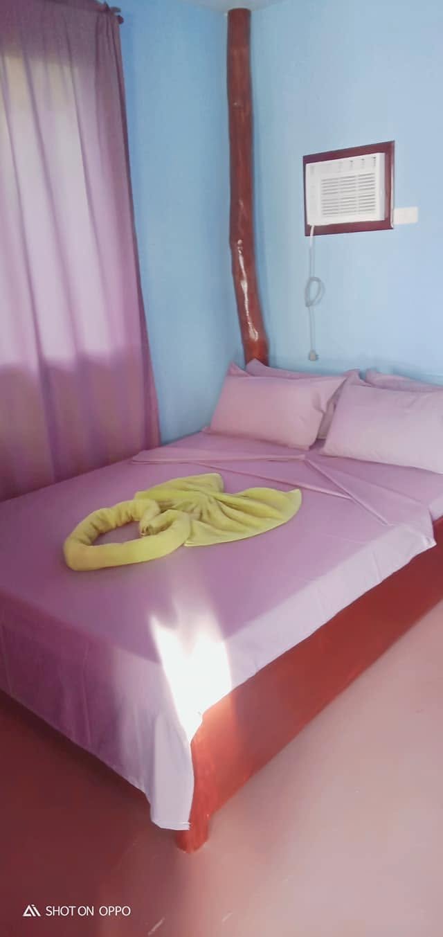 The Three Sister's Place — Transient House Photo 3