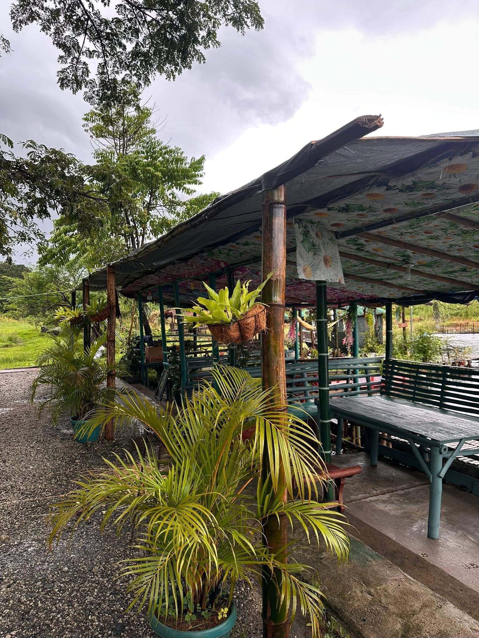 Camp Comino Resort  — Glamping Site Photo 3