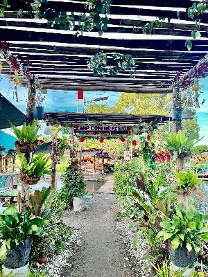 Camp Comino Resort  — Glamping Site in San Narciso, Zambales