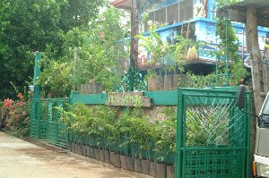 Villa Gange  — Transient House in Cuyo, Palawan