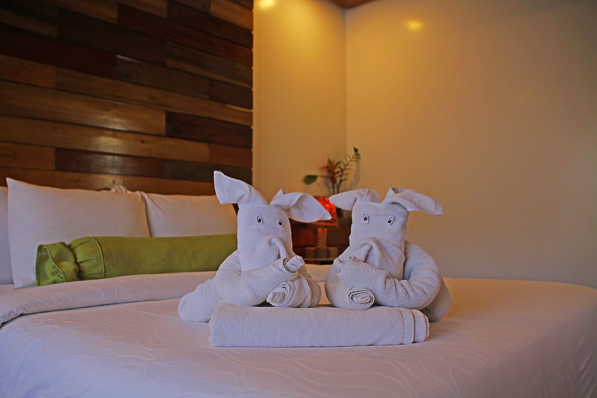 The Nest El Nido Beach Resort  — Resort Photo 3
