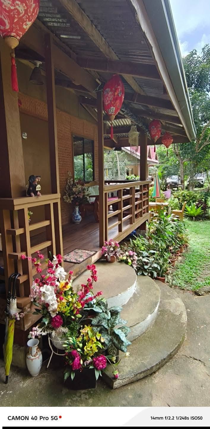 AzMai Transient House — Transient House Photo 1
