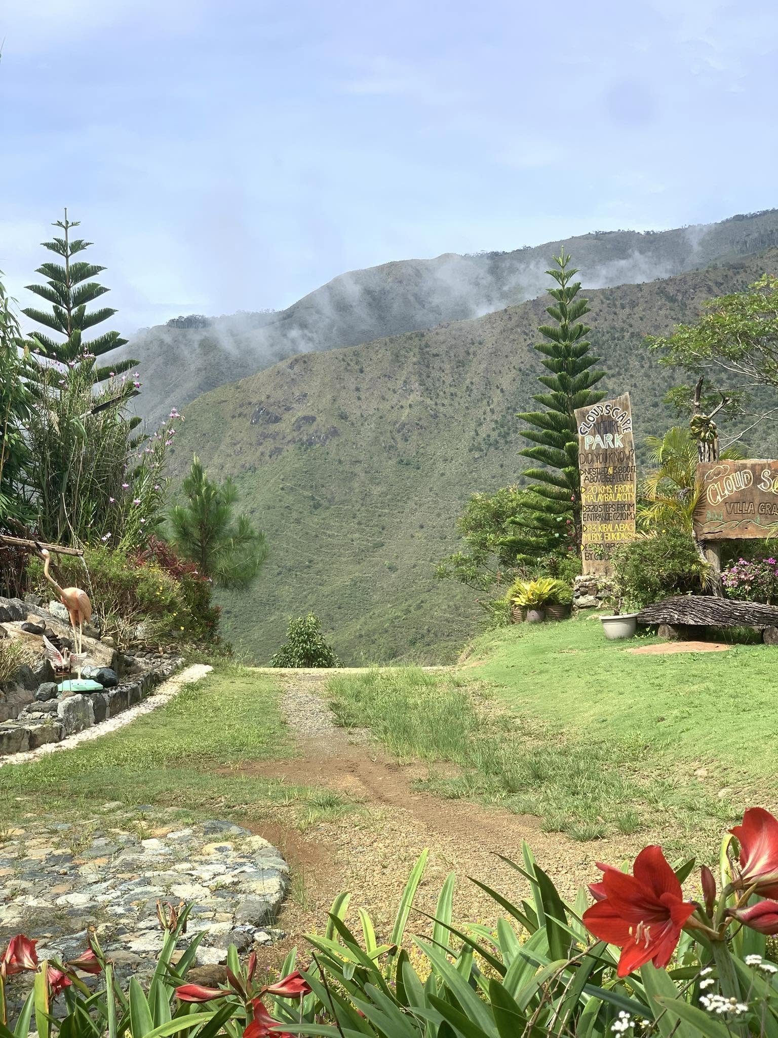 Cloudscape Nature Park  — Glamping Site Photo 3